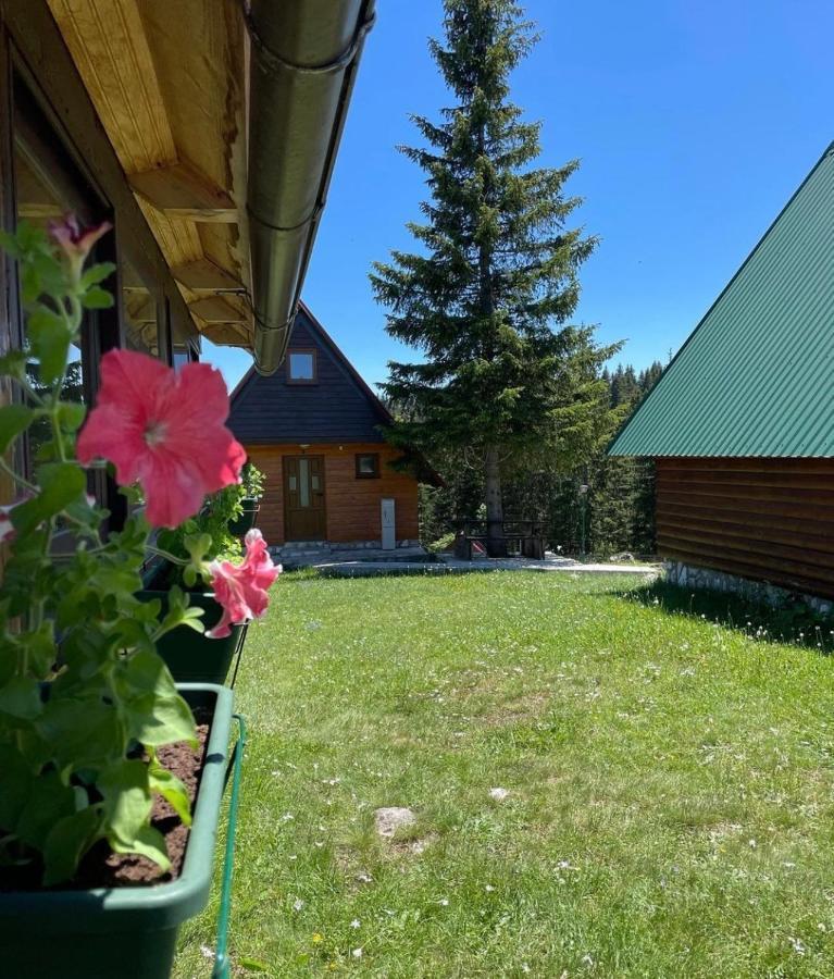 Bungalows Krstajic Žabljak エクステリア 写真