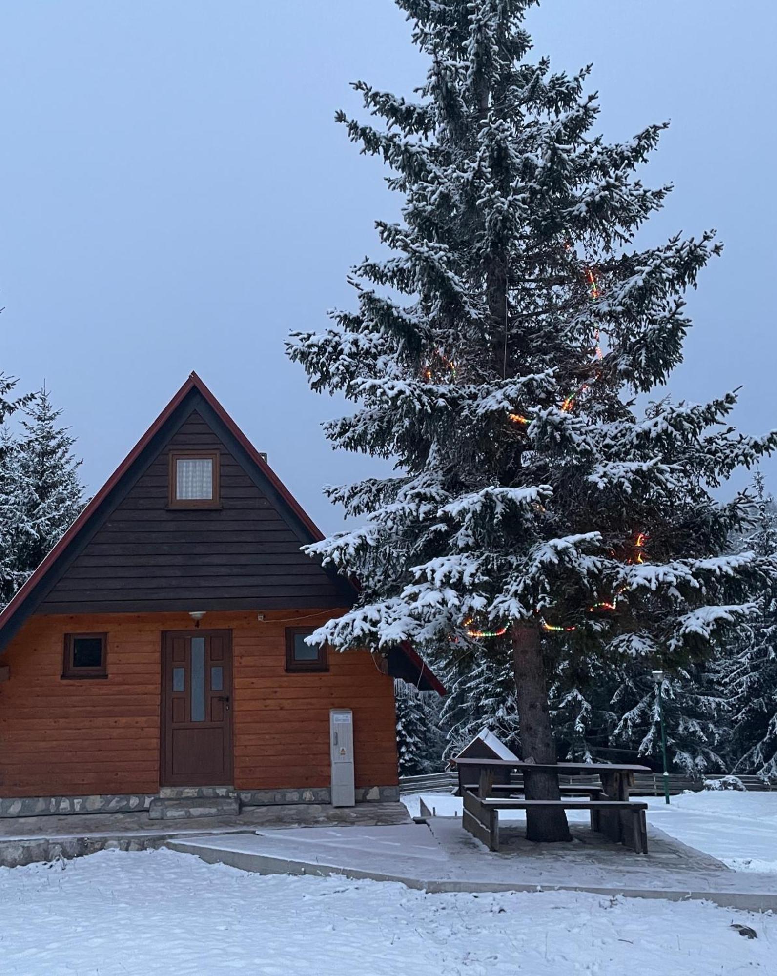 Bungalows Krstajic Žabljak エクステリア 写真